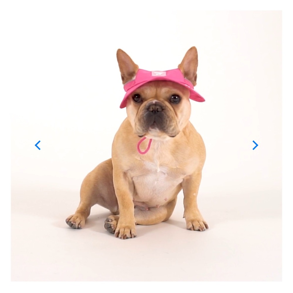 Canada Pooch dog hat Barbie pink